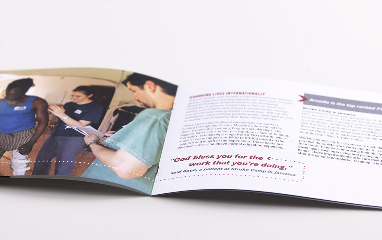 Physical Therapy Campaign Brochure